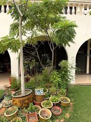 Bukit Loyang Estate (D17), Semi-Detached #639109681